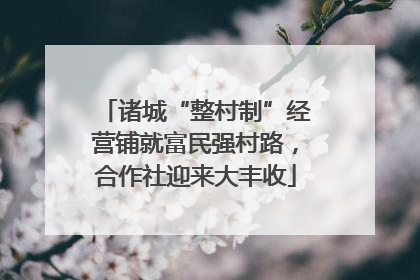 诸城“整村制”经营铺就富民强村路，合作社迎来大丰收