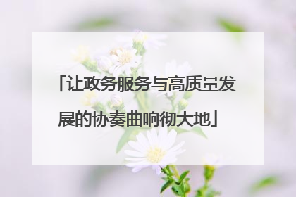 让政务服务与高质量发展的协奏曲响彻大地