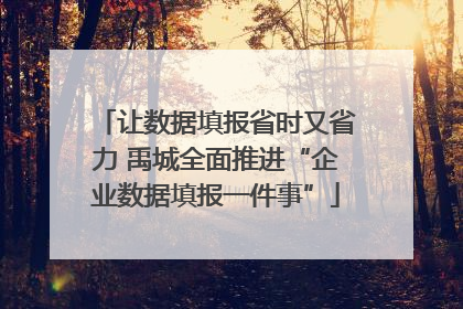 让数据填报省时又省力 禹城全面推进“企业数据填报一件事”