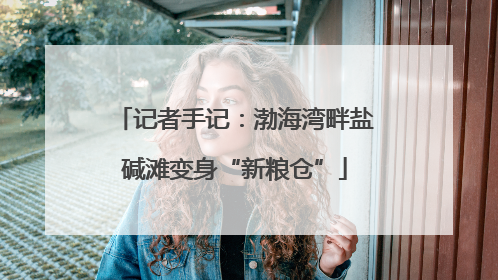 记者手记：渤海湾畔盐碱滩变身“新粮仓”