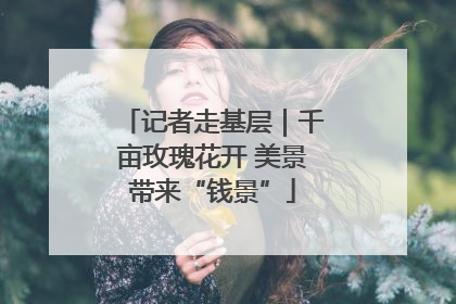 记者走基层｜千亩玫瑰花开 美景带来“钱景”