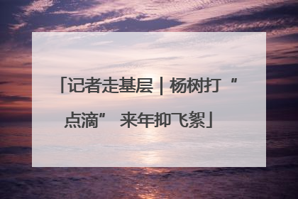 记者走基层｜杨树打“点滴” 来年抑飞絮