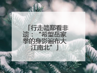 行走赣鄱看非遗：“希望岳家拳的身影遍布大江南北”