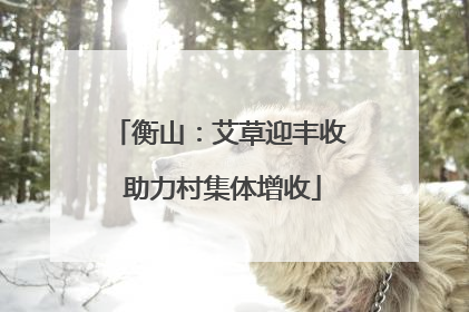 衡山：艾草迎丰收 助力村集体增收