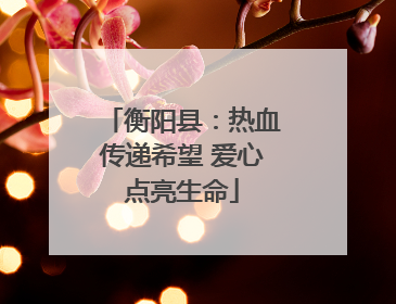 衡阳县：热血传递希望 爱心点亮生命