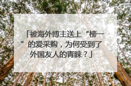 被海外博主送上“榜一”的爱采购，为何受到了外国友人的青睐？