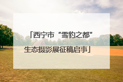 西宁市“雪豹之都”生态摄影展征稿启事