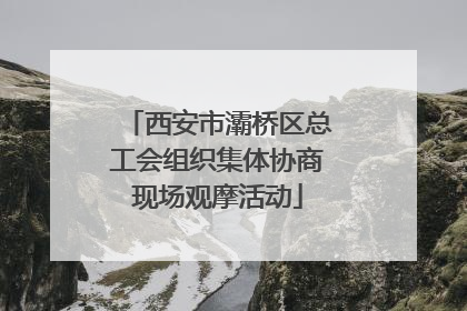 西安市灞桥区总工会组织集体协商现场观摩活动