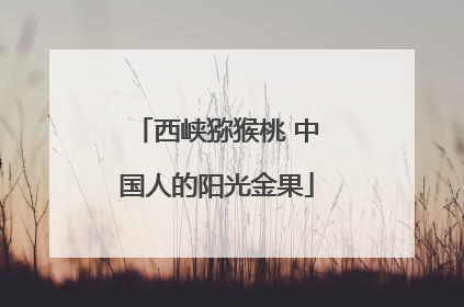 西峡猕猴桃 中国人的阳光金果