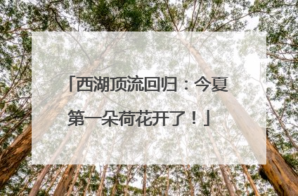 西湖顶流回归：今夏第一朵荷花开了！