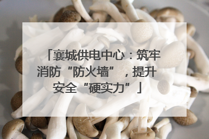 襄城供电中心：筑牢消防“防火墙”，提升安全“硬实力”