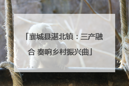 襄城县湛北镇：三产融合 奏响乡村振兴曲
