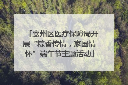 襄州区医疗保障局开展“粽香传情，家国情怀”端午节主题活动