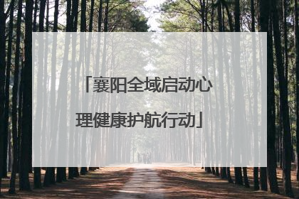 襄阳全域启动心理健康护航行动