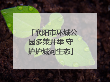 襄阳市环城公园多策并举 守护护城河生态