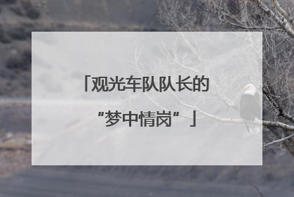 观光车队队长的“梦中情岗”