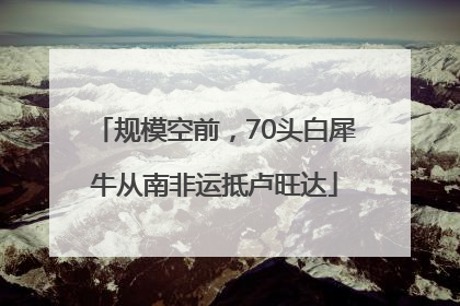 规模空前，70头白犀牛从南非运抵卢旺达