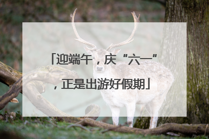 迎端午，庆“六一”，正是出游好假期