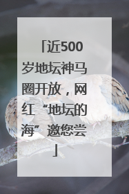近500岁地坛神马圈开放，网红“地坛的海”邀您尝