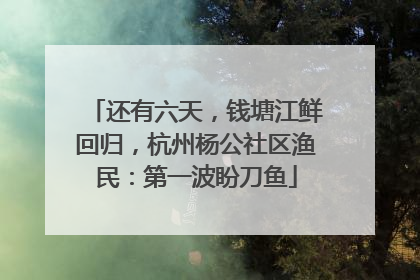 还有六天，钱塘江鲜回归，杭州杨公社区渔民：第一波盼刀鱼