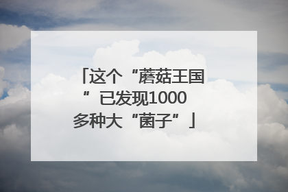 这个“蘑菇王国”已发现1000多种大“菌子”
