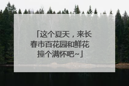 这个夏天，来长春市百花园和鲜花撞个满怀吧~