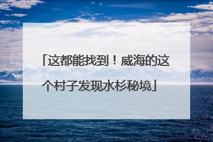 这都能找到！威海的这个村子发现水杉秘境