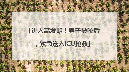 进入高发期！男子被咬后，紧急送入ICU抢救