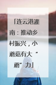 连云港灌南：推动乡村振兴，小蘑菇有大“蘑”力