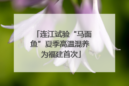 连江试验“马面鱼”夏季高温混养 为福建首次