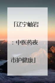 辽宁岫岩：中医药夜市护健康