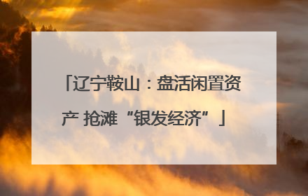 辽宁鞍山：盘活闲置资产 抢滩“银发经济”
