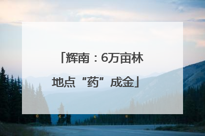 辉南：6万亩林地点“药”成金