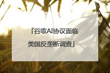 谷歌AI协议面临美国反垄断调查