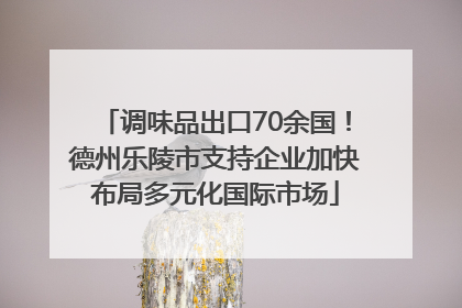 调味品出口70余国！德州乐陵市支持企业加快布局多元化国际市场