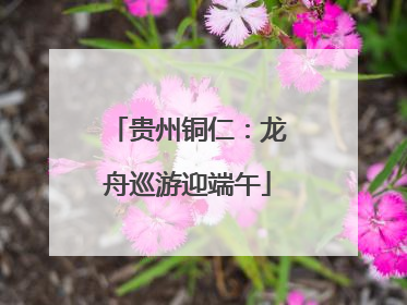 贵州铜仁：龙舟巡游迎端午