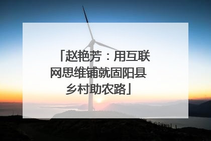 赵艳芳：用互联网思维铺就固阳县乡村助农路