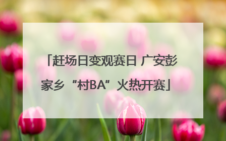 赶场日变观赛日 广安彭家乡“村BA”火热开赛
