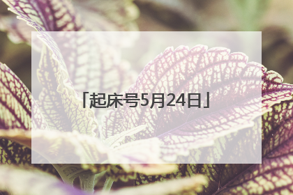起床号5月24日