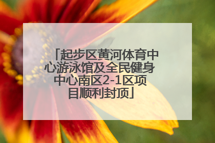 起步区黄河体育中心游泳馆及全民健身中心南区2-1区项目顺利封顶