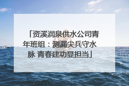 资溪润泉供水公司青年班组：测漏尖兵守水脉 青春建功显担当