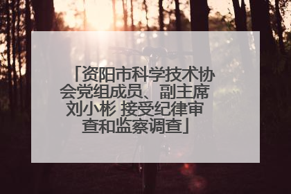 资阳市科学技术协会党组成员、副主席刘小彬 接受纪律审查和监察调查