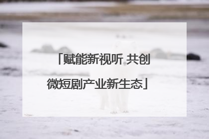 赋能新视听 共创微短剧产业新生态