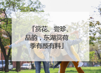 赏花、尝珍、品韵，东湖赏荷季有颜有料