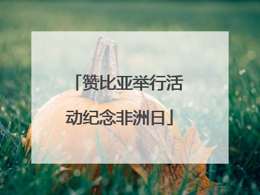 赞比亚举行活动纪念非洲日
