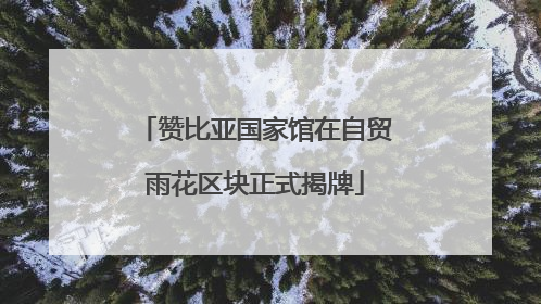 赞比亚国家馆在自贸雨花区块正式揭牌