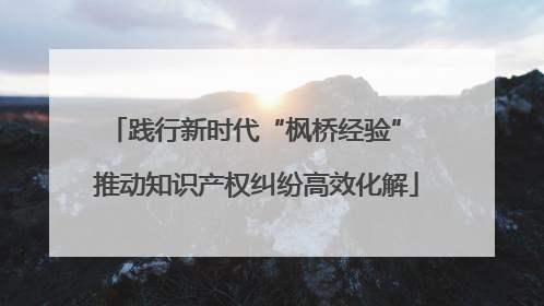 践行新时代“枫桥经验” 推动知识产权纠纷高效化解
