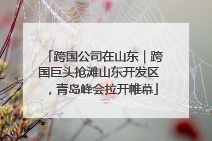 跨国公司在山东｜跨国巨头抢滩山东开发区，青岛峰会拉开帷幕
