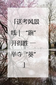 送考风景线｜“旗”开得胜 一举夺“葵”