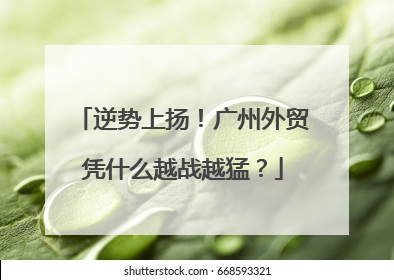 逆势上扬！广州外贸凭什么越战越猛？